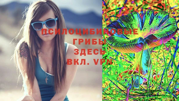 тгк Абдулино