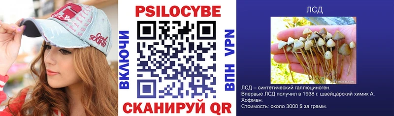 OMG ONION Лебедянь Галлюциногенные грибы GOLDEN TEACHER
